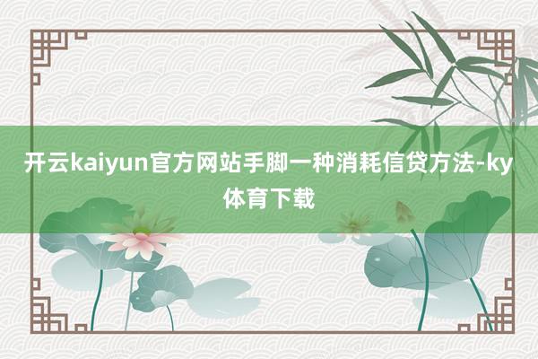 开云kaiyun官方网站手脚一种消耗信贷方法-ky体育下载