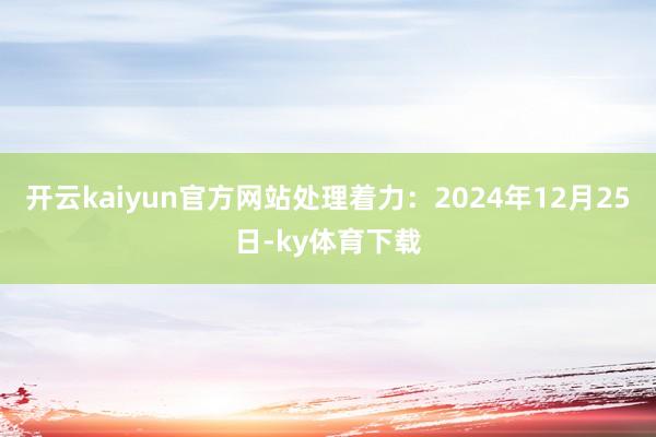 开云kaiyun官方网站处理着力：2024年12月25日-ky体育下载
