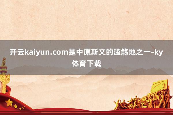 开云kaiyun.com是中原斯文的滥觞地之一-ky体育下载