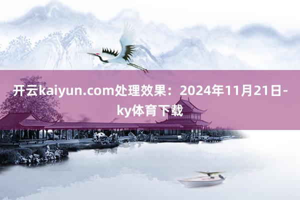 开云kaiyun.com处理效果：2024年11月21日-ky体育下载