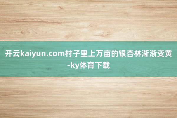 开云kaiyun.com村子里上万亩的银杏林渐渐变黄-ky体育下载