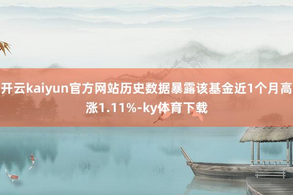 开云kaiyun官方网站历史数据暴露该基金近1个月高涨1.11%-ky体育下载