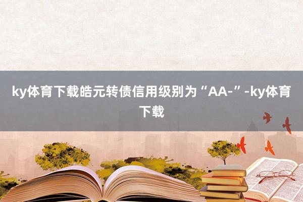ky体育下载皓元转债信用级别为“AA-”-ky体育下载