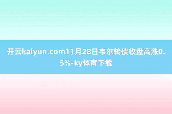 开云kaiyun.com11月28日韦尔转债收盘高涨0.5%-ky体育下载